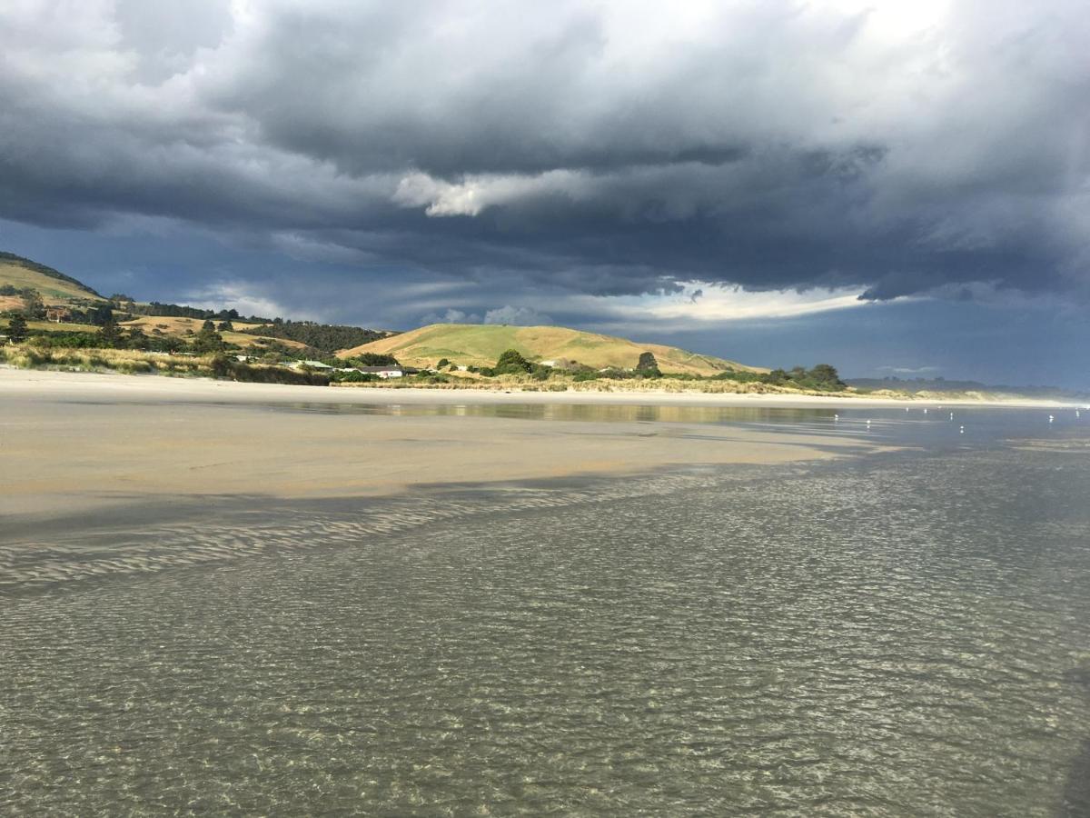 Stay In School By The Sea Dunedin Esterno foto